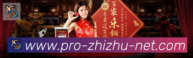 未来规划